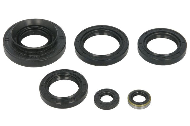 Set garnituri pentru motor WINDEROSA 822366