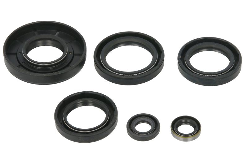 Set garnituri pentru motor WINDEROSA 822366 