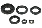 Set garnituri pentru motor WINDEROSA 822366 