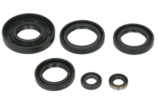 Set garnituri pentru motor WINDEROSA 822366 