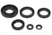 Set garnituri pentru motor WINDEROSA 822366 