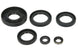 Set garnituri pentru motor WINDEROSA 822366 