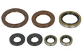 Set garnituri pentru motor WINDEROSA 822372 