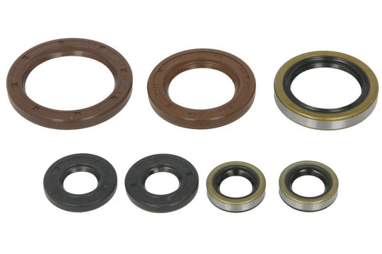 Set garnituri pentru motor WINDEROSA 822372 