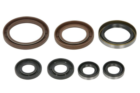 Set garnituri pentru motor WINDEROSA 822372 