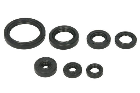 Set garnituri pentru motor WINDEROSA 822692 
