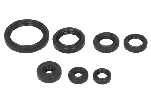 Set garnituri pentru motor WINDEROSA 822692 