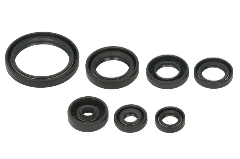 Set garnituri pentru motor WINDEROSA 822692 