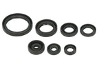 Set garnituri pentru motor WINDEROSA 822692 