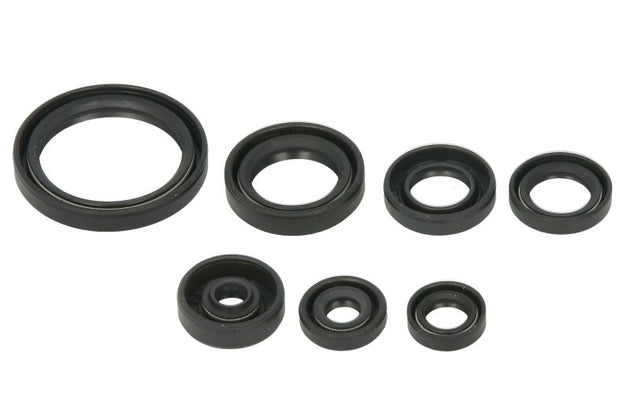 Set garnituri pentru motor WINDEROSA 822692 