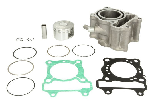Cilindru motor RMS 10 008 0730 RMS