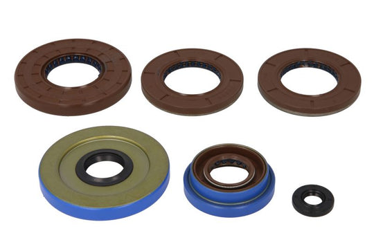 Set garnituri pentru motor WINDEROSA 822141