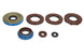 Set garnituri pentru motor WINDEROSA 822375 