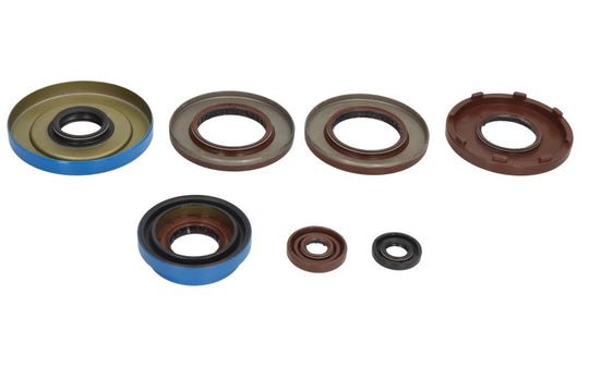 Set garnituri pentru motor WINDEROSA 822375 