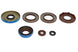 Set garnituri pentru motor WINDEROSA 822375 