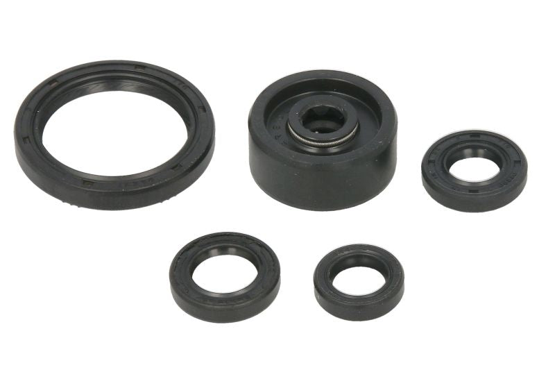 Set garnituri pentru motor WINDEROSA 822377 