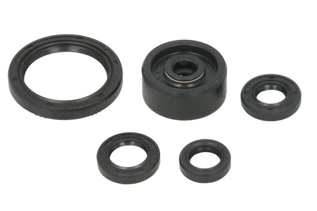 Set garnituri pentru motor WINDEROSA 822377