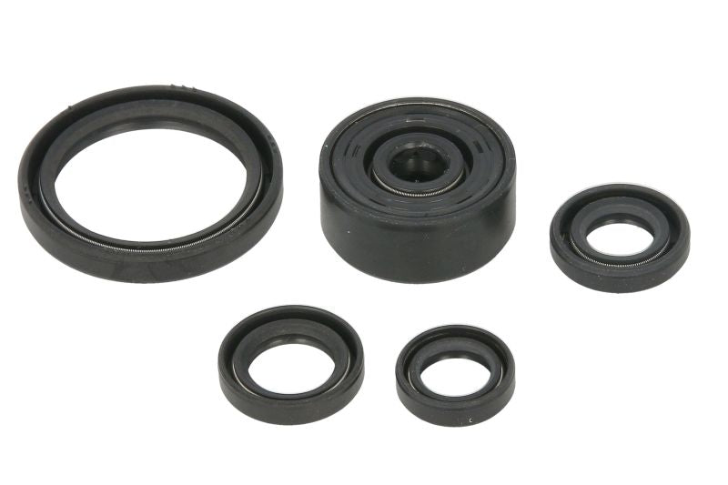 Set garnituri pentru motor WINDEROSA 822377 