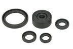 Set garnituri pentru motor WINDEROSA 822377 