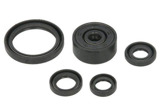 Set garnituri pentru motor WINDEROSA 822377 
