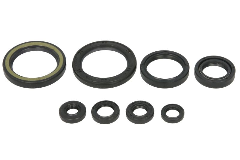 Set garnituri pentru motor WINDEROSA 822378 