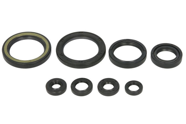 Set garnituri pentru motor WINDEROSA 822378 