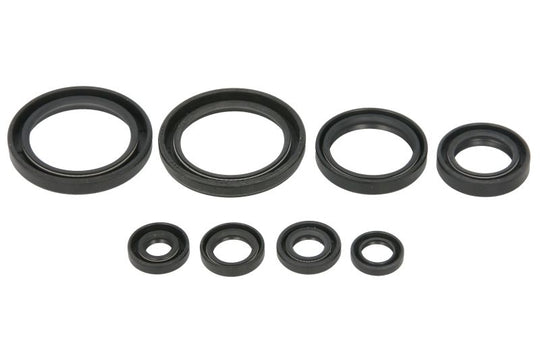 Set garnituri pentru motor WINDEROSA 822378 