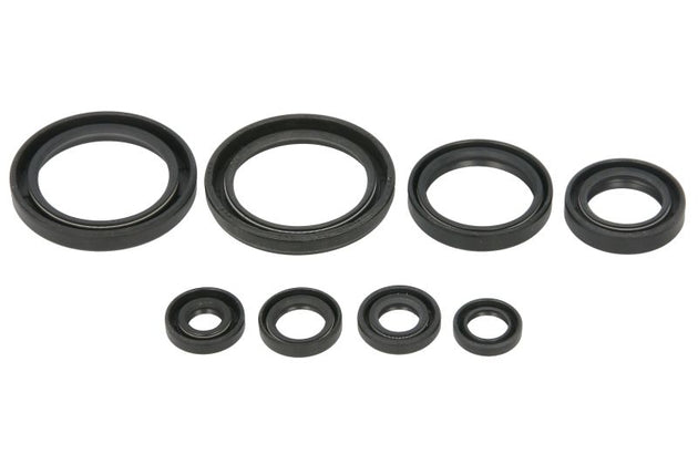 Set garnituri pentru motor WINDEROSA 822378 