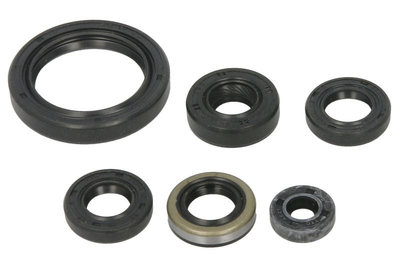 Set garnituri pentru motor WINDEROSA 822379 