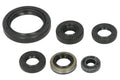 Set garnituri pentru motor WINDEROSA 822379 