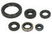 Set garnituri pentru motor WINDEROSA 822379 