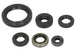 Set garnituri pentru motor WINDEROSA 822379 