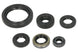 Set garnituri pentru motor WINDEROSA 822379 