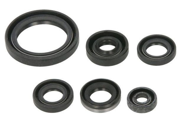 Set garnituri pentru motor WINDEROSA 822379