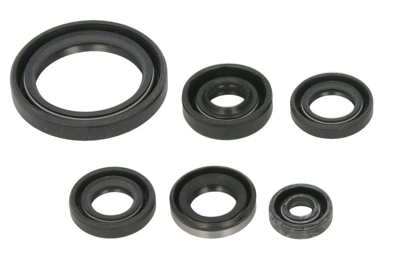 Set garnituri pentru motor WINDEROSA 822379 