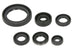 Set garnituri pentru motor WINDEROSA 822379 