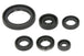 Set garnituri pentru motor WINDEROSA 822379 
