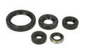 Set garnituri pentru motor WINDEROSA 822380 