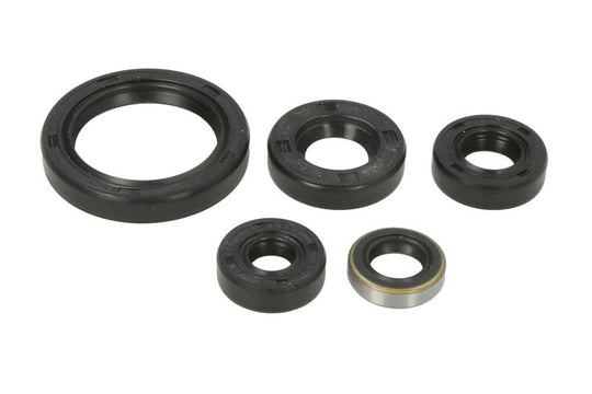 Set garnituri pentru motor WINDEROSA 822380 
