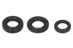 Set garnituri pentru motor WINDEROSA 822389 