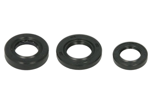Set garnituri pentru motor WINDEROSA 822389 