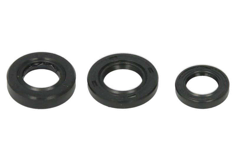 Set garnituri pentru motor WINDEROSA 822389 