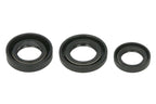 Set garnituri pentru motor WINDEROSA 822389 