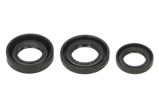Set garnituri pentru motor WINDEROSA 822389 