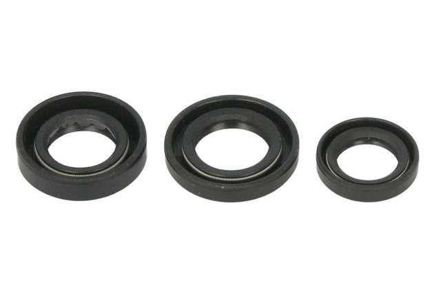 Set garnituri pentru motor WINDEROSA 822389 