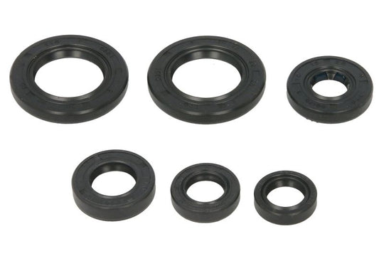 Set garnituri pentru motor WINDEROSA 822391 