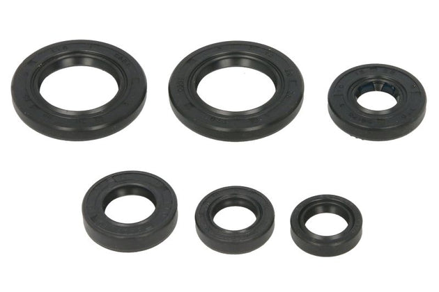 Set garnituri pentru motor WINDEROSA 822391 