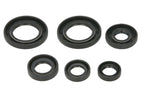 Set garnituri pentru motor WINDEROSA 822391 