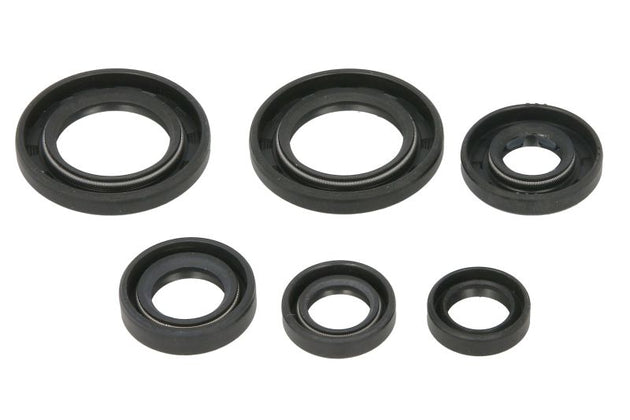 Set garnituri pentru motor WINDEROSA 822391 