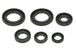 Set garnituri pentru motor WINDEROSA 822391 